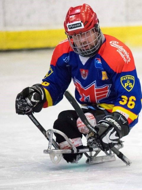 Sledge hokejista v červeno-modrém dresu Motoru České Budějovice s logem PS PATROL na ledě